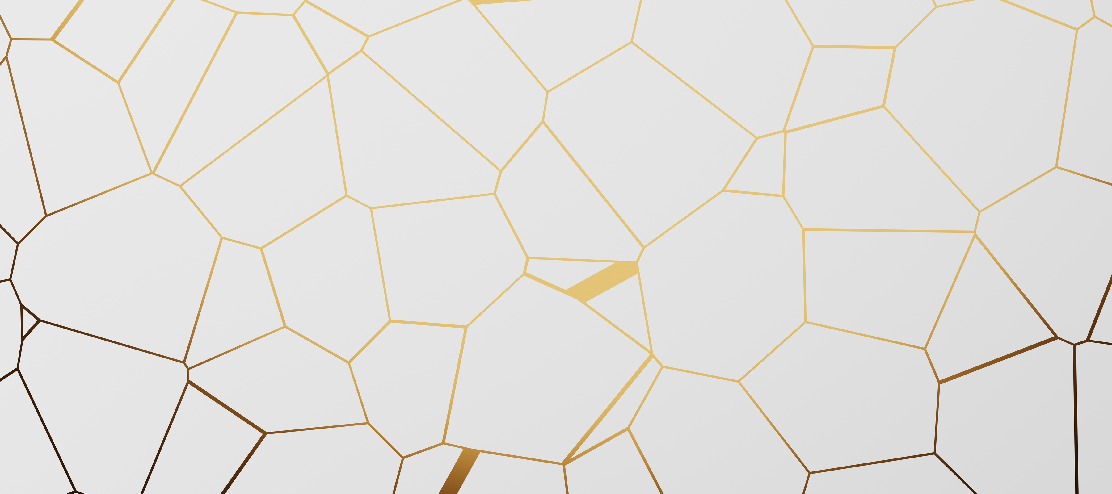 White and Gold line Abstract Background.